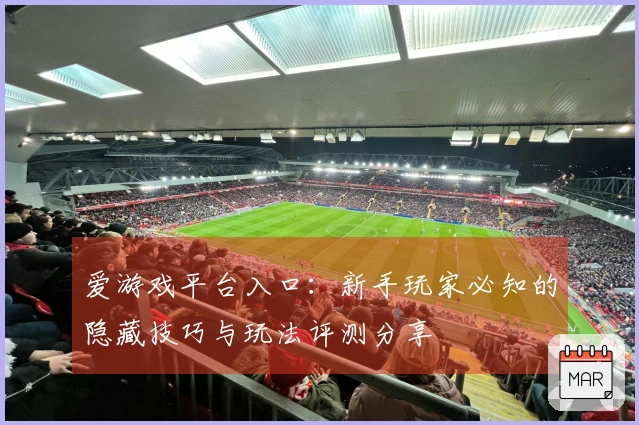 爱游戏平台入口：新手玩家必知的隐藏技巧与玩法评测分享