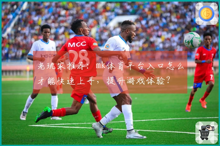 老玩家推荐：mk体育平台入口怎么才能快速上手，提升游戏体验？