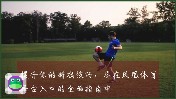 提升你的游戏技巧，尽在凤凰体育平台入口的全面指南中