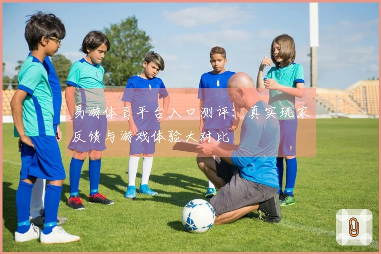 易游体育平台入口测评：真实玩家反馈与游戏体验大对比
