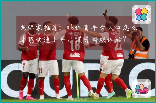 老玩家推荐：mk体育平台入口怎么才能快速上手，提升游戏体验？