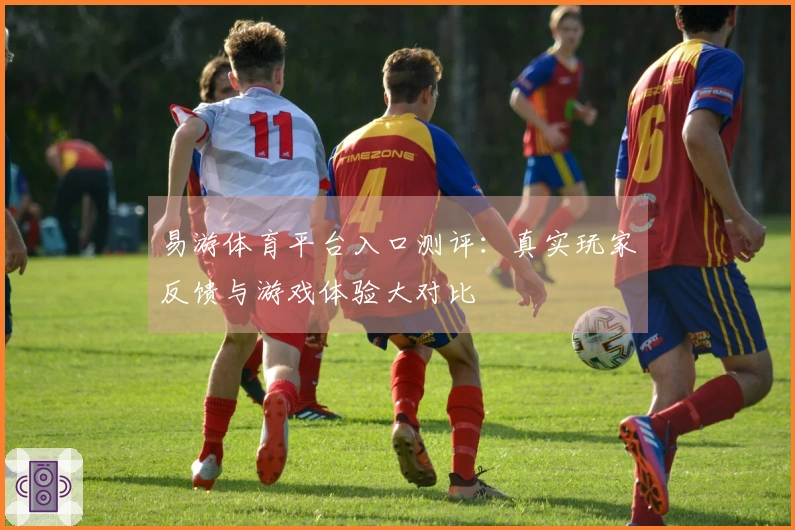 易游体育平台入口测评：真实玩家反馈与游戏体验大对比